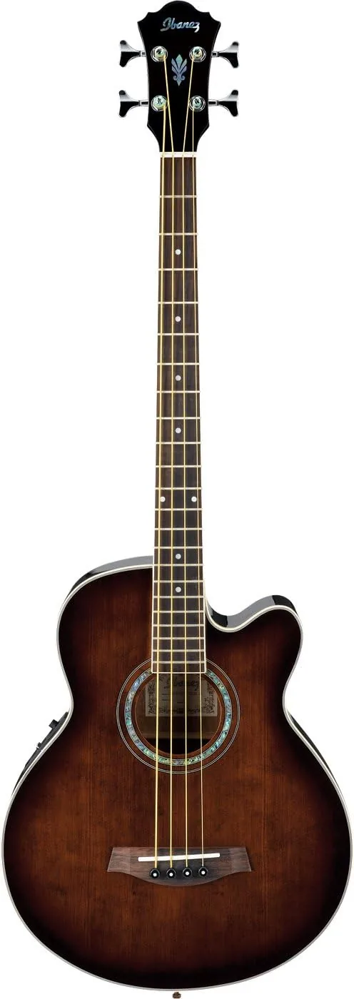 Ibanez Acoustic-Electric Bass Guitar, Dark Violin Sunburst