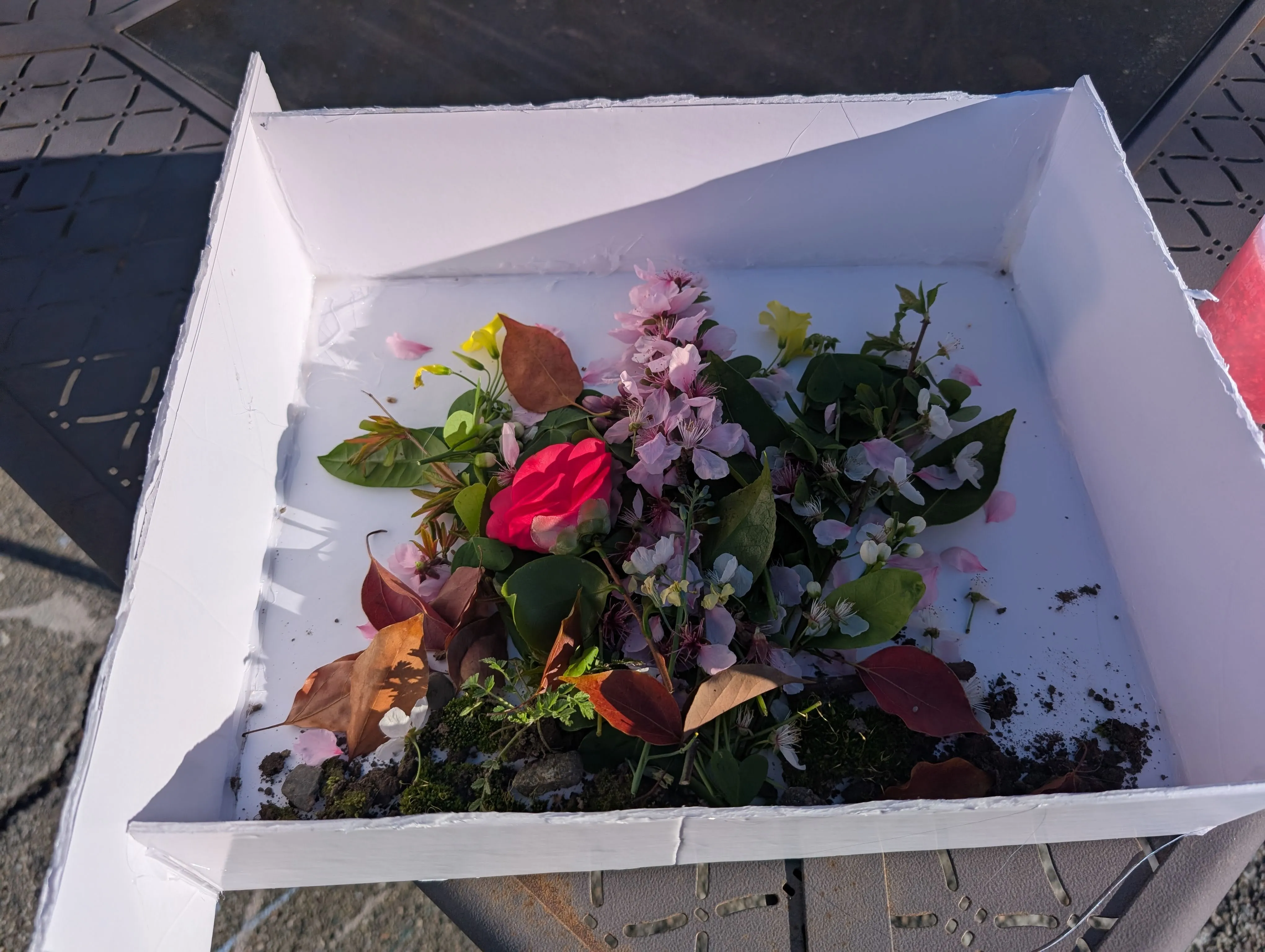 Foam board box with flowers ready for the first epoxy pour outdoors