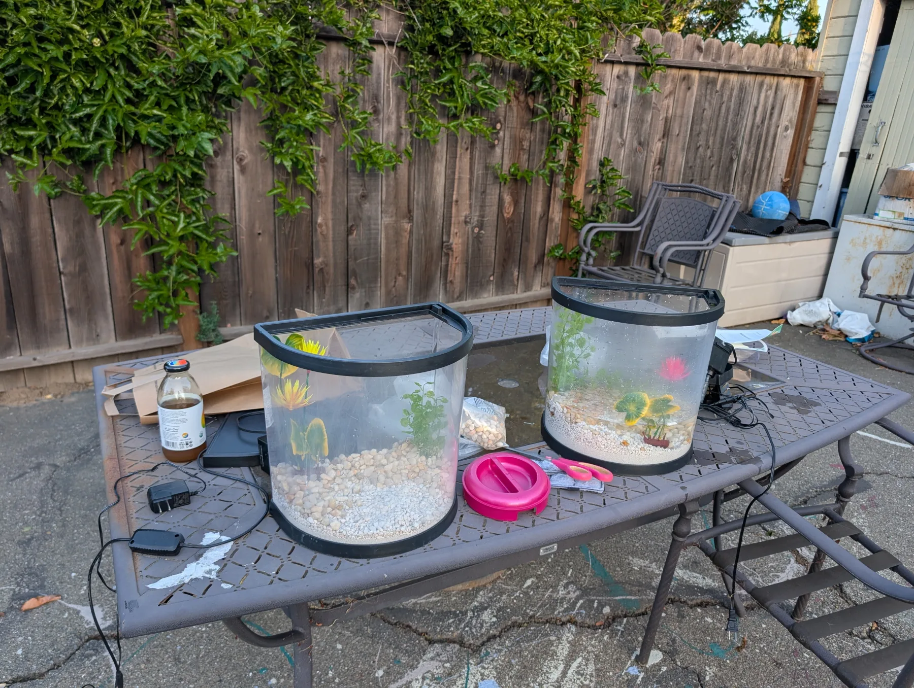 Two small aquariums being assembled on a backyard table